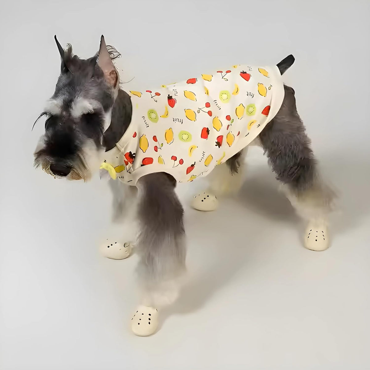 Elegantes y Ligeros Zapatos para Perros
