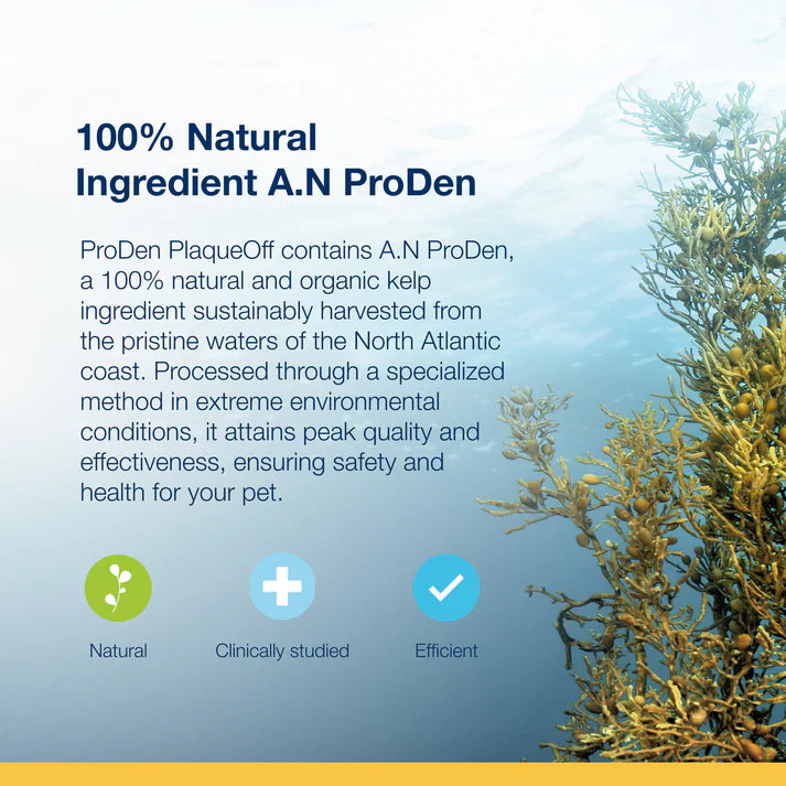 ProDen PlaqueOff® Polvo para perros y gatos