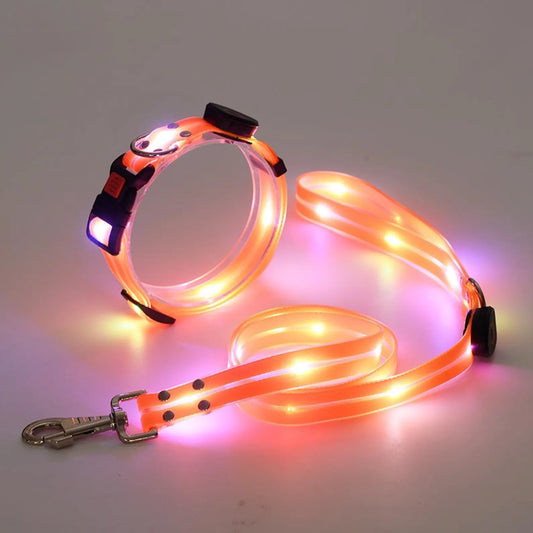 LED Light-Up Dog Leash and Collar – Rechargeable Safety Leash for Night Walks