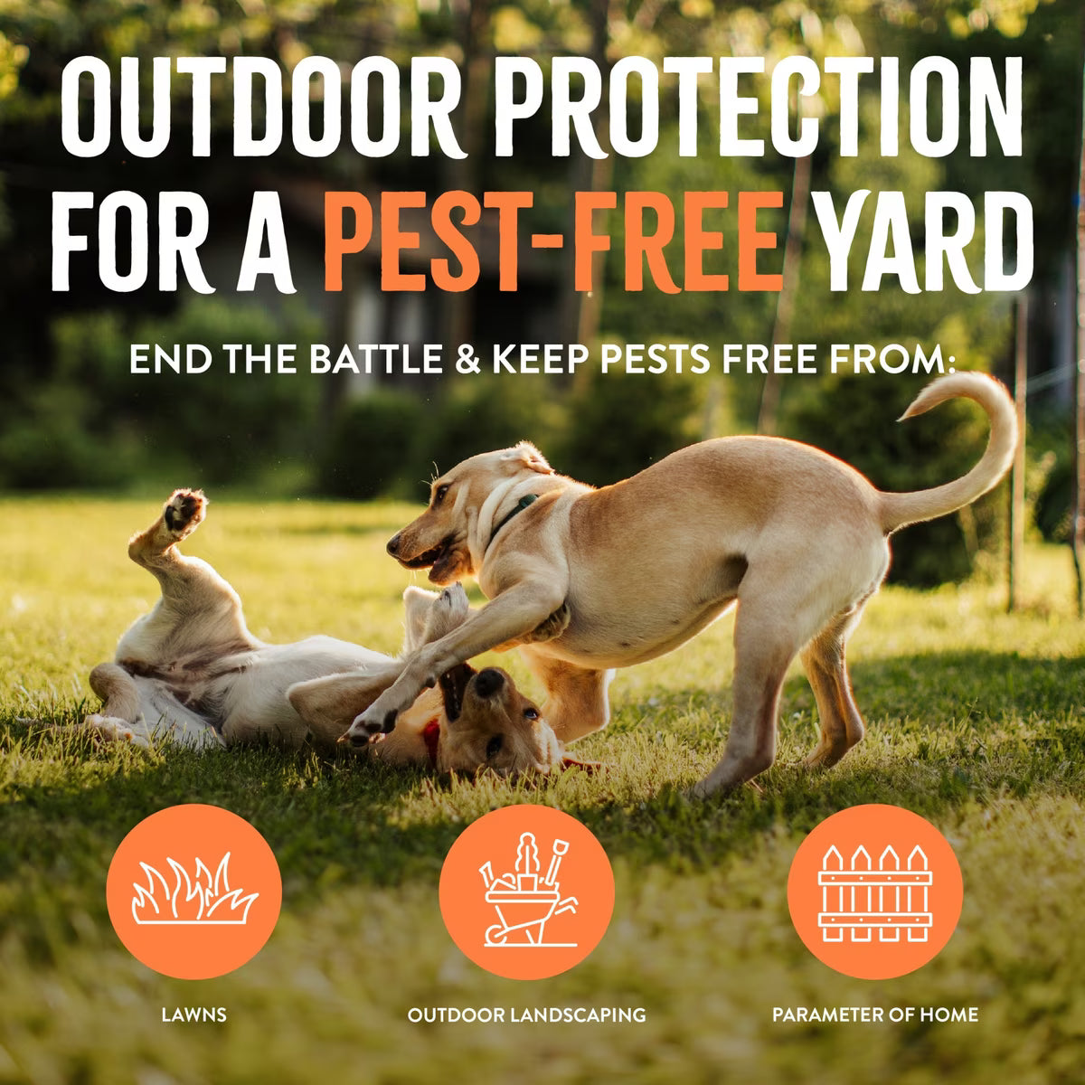 TropiClean Natural Outdoor Flea & Tick Treatment Spray for Yard, 32-fl oz