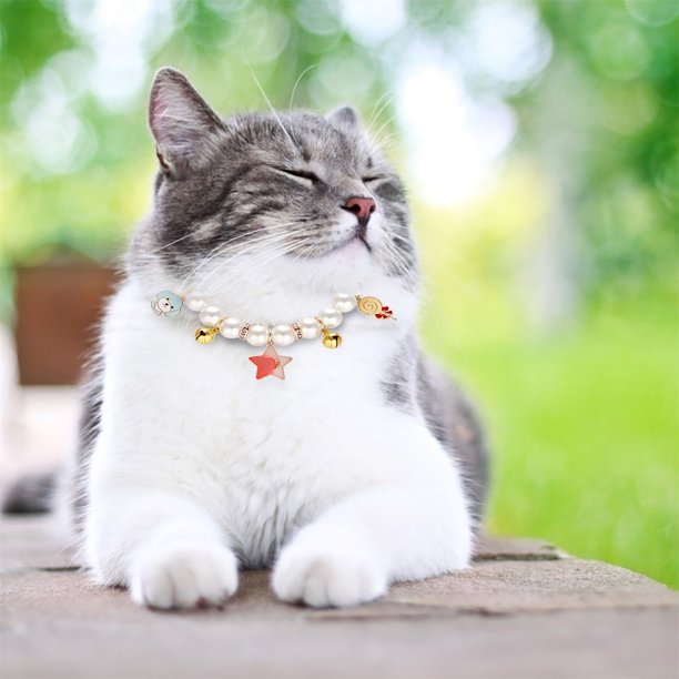 Collar de gato