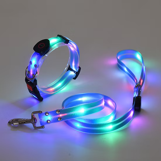 LED Light-Up Dog Leash and Collar – Rechargeable Safety Leash for Night Walks