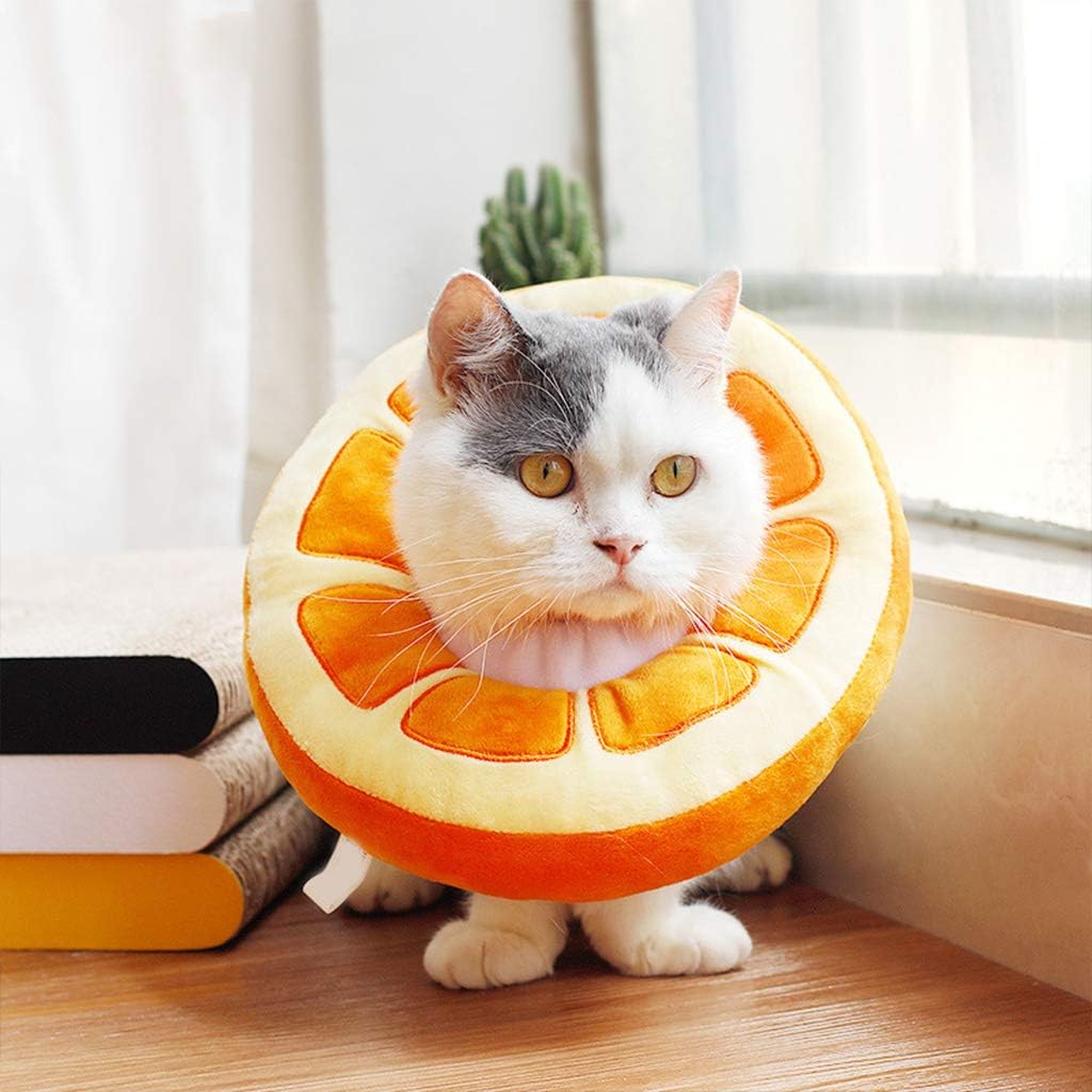 Soft Recovery Collar for Cats - Fruit Design