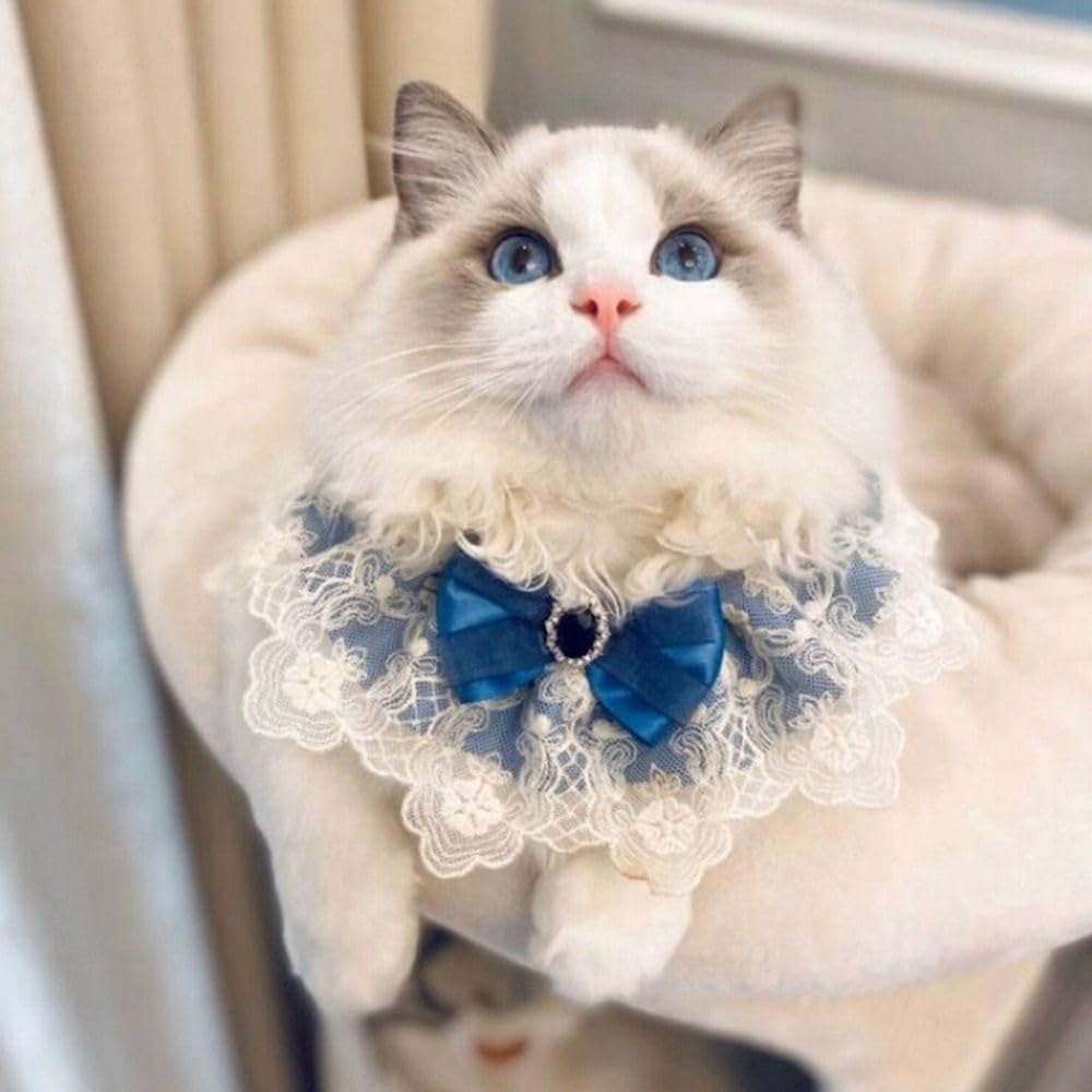 Lace Pearl Collar for Puppy and Cat