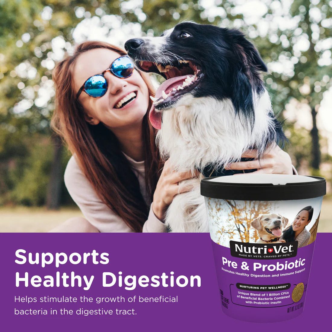 Nutri-Vet Pre & Probiotic Soft Chews for Dogs