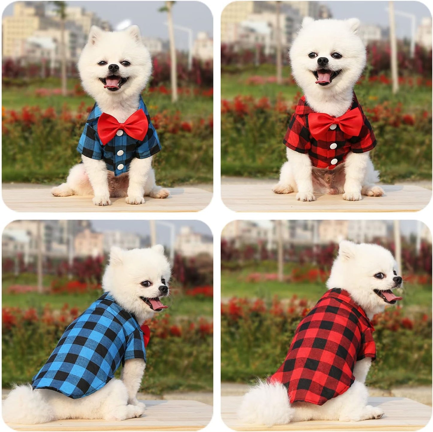 Cute Gentleman Puppy Shirt