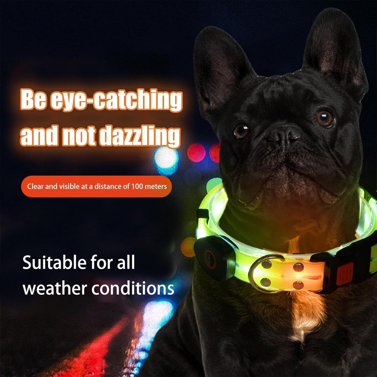 LED Light-Up Dog Leash and Collar – Rechargeable Safety Leash for Night Walks