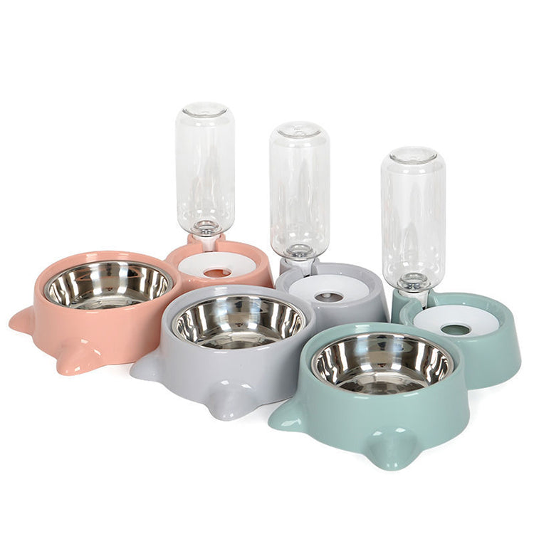Pet Food & Automatic Water Bowl Set
