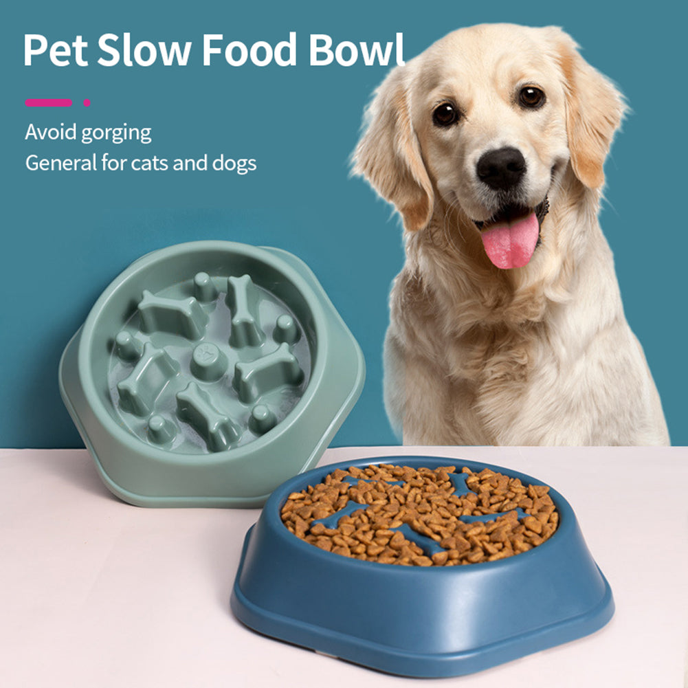 Slow Feeder Dog Bowl