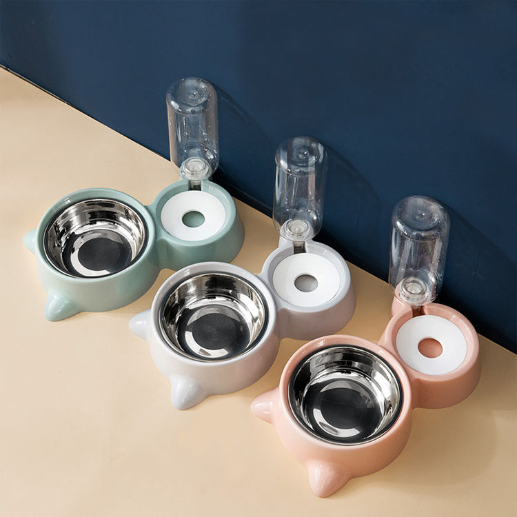 Pet Food & Automatic Water Bowl Set