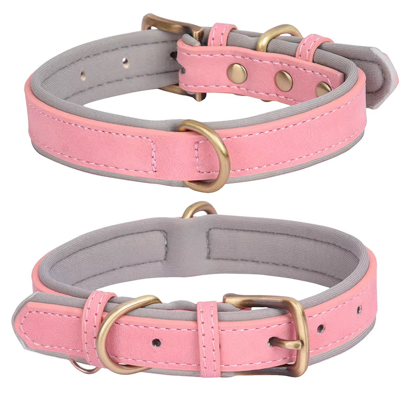 Personalized Engraved Leather Dog Collar with Metal Nameplate