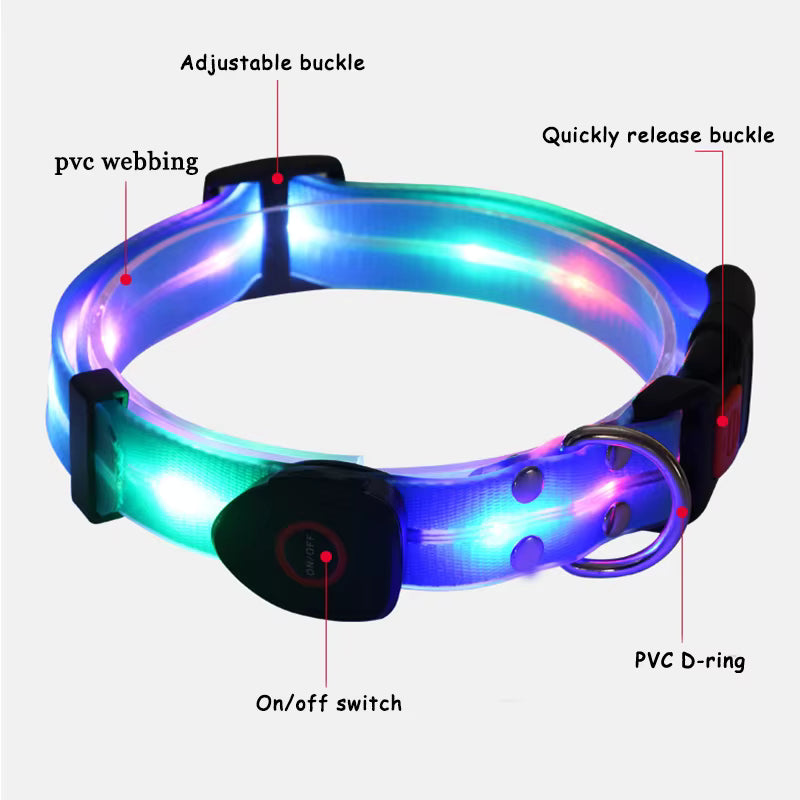 LED Light-Up Dog Leash and Collar – Rechargeable Safety Leash for Night Walks