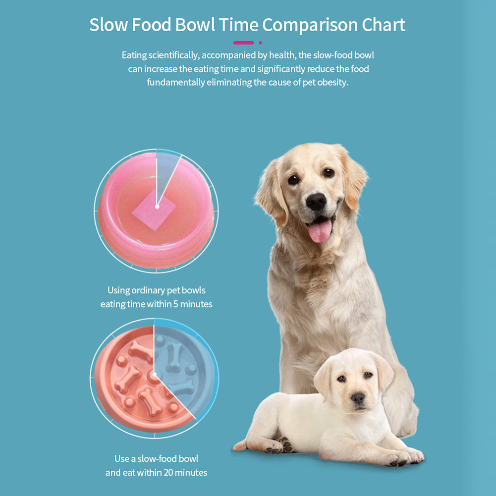 Slow Feeder Dog Bowl