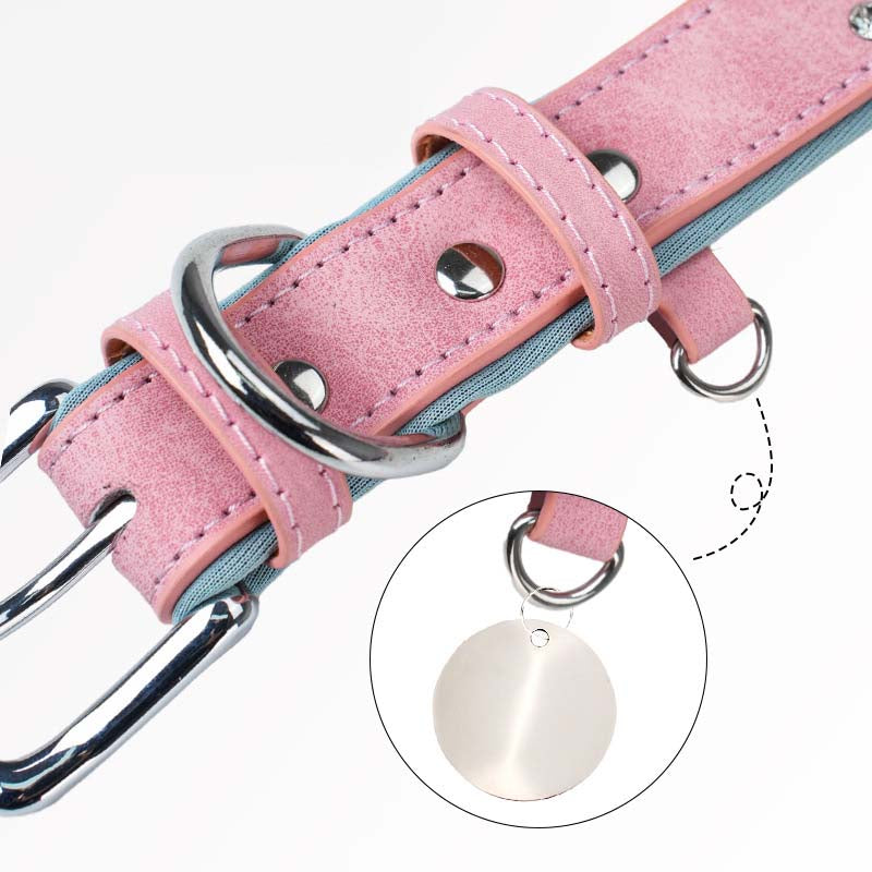 Luxury Rhinestones Studded Dog Collar