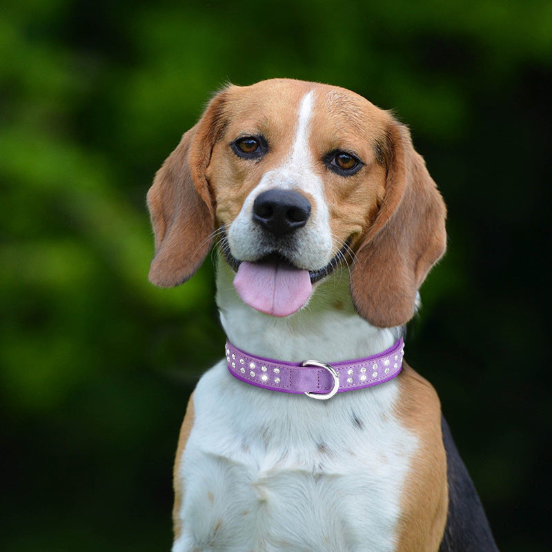 Luxury Rhinestones Studded Dog Collar