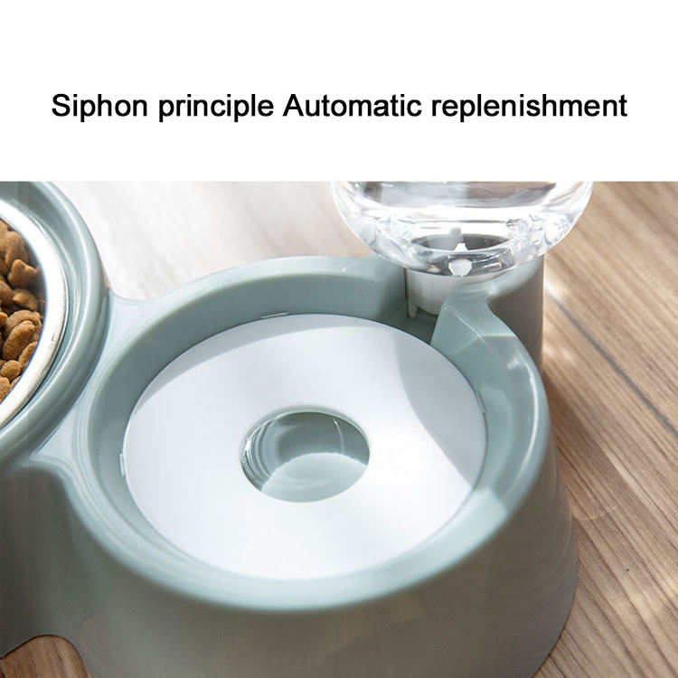 Pet Food & Automatic Water Bowl Set