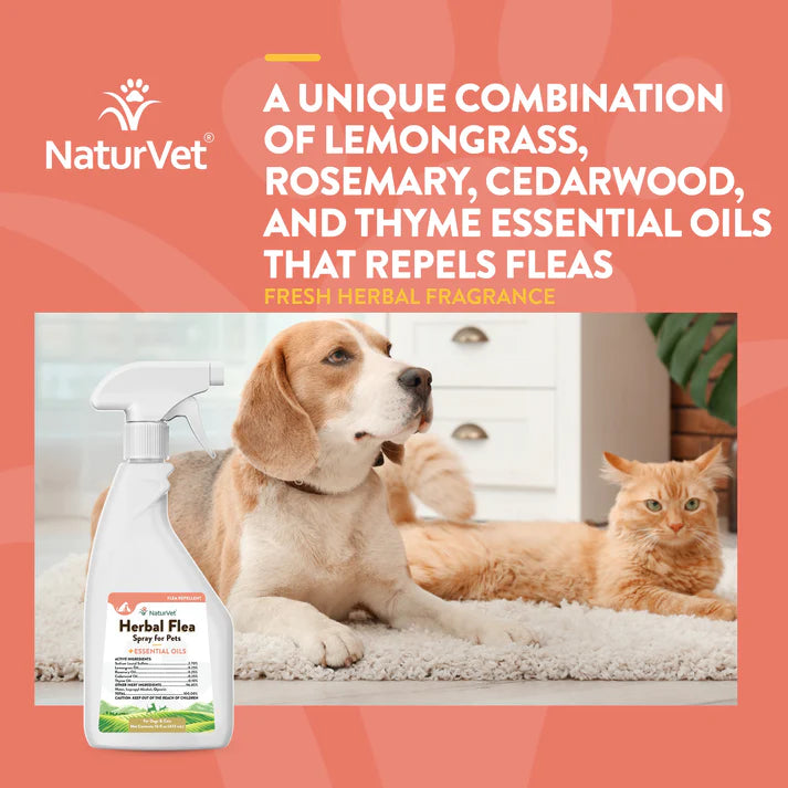 Herbal Flea Spray - For Dogs and Cats…