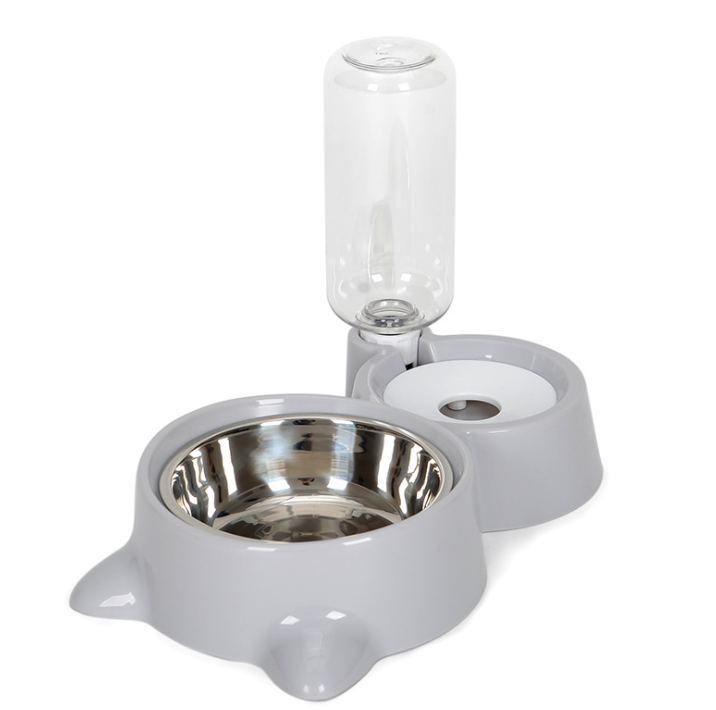 Pet Food & Automatic Water Bowl Set