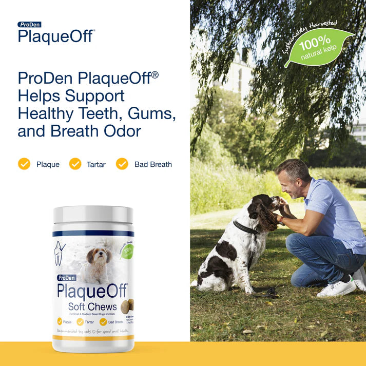 ProDen PlaqueOff® Chew Suave para Perros de Razas Pequeñas y Medianas