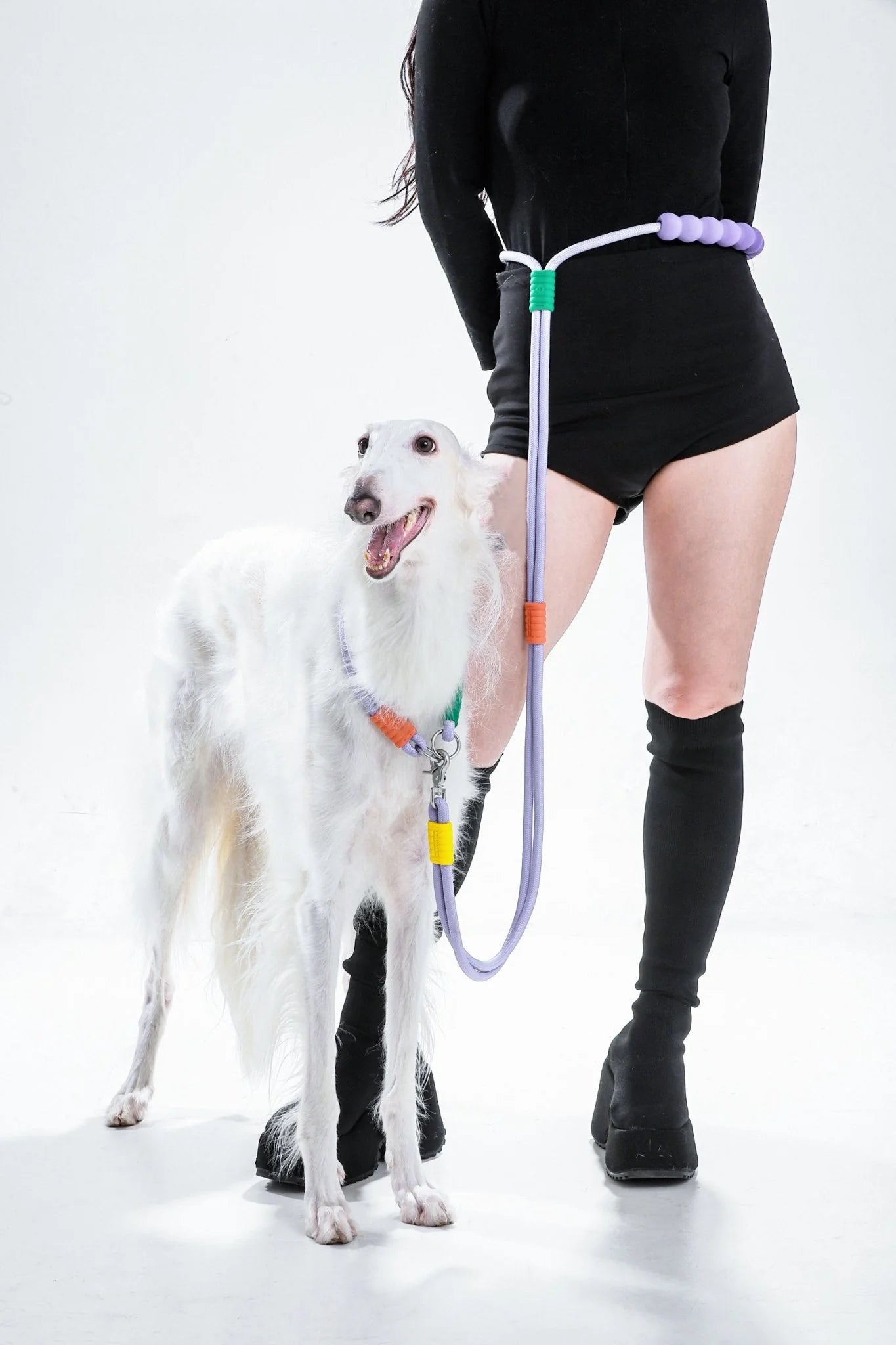 Hand-Free  Double-Segmented Dog Leash