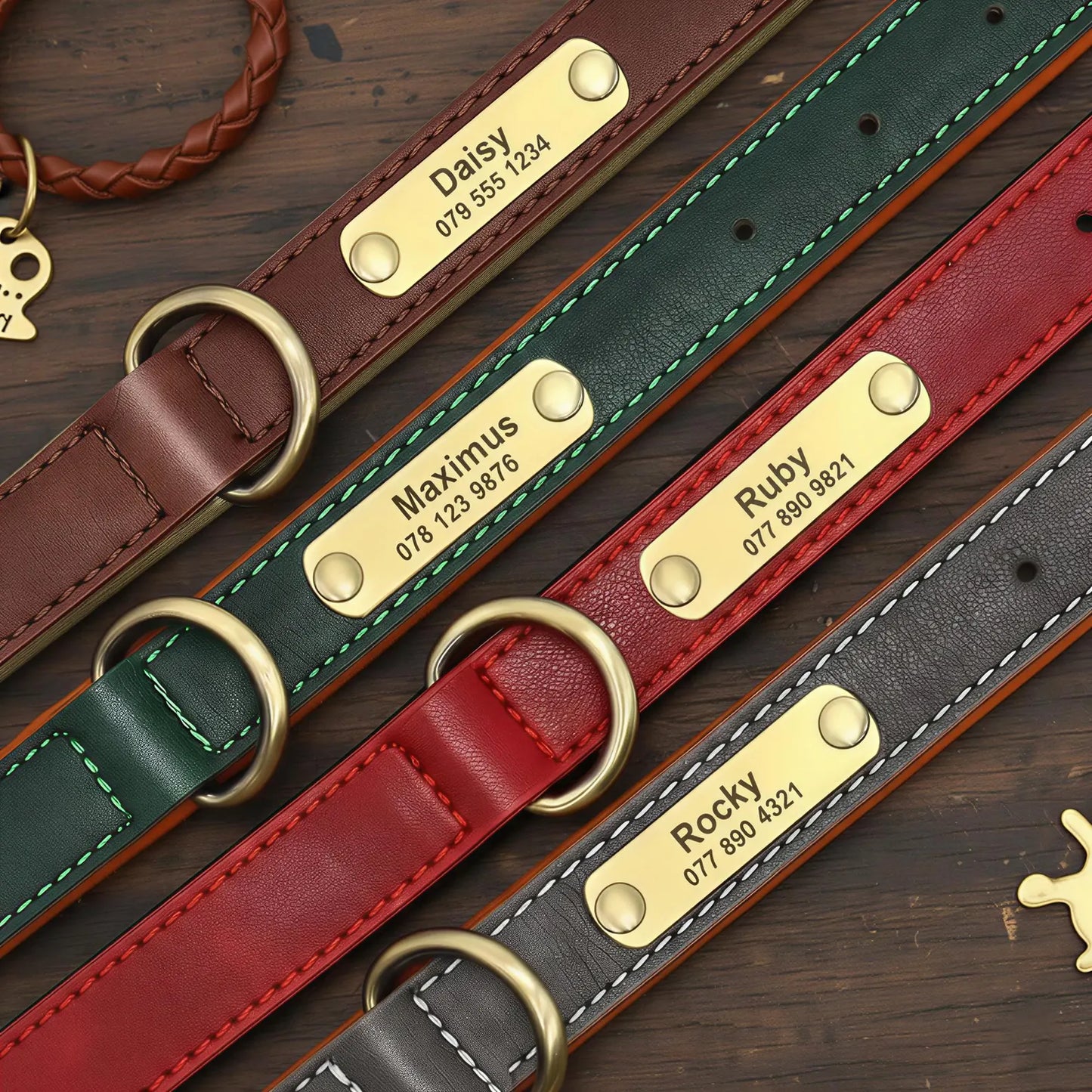 Personalized Engraved Leather Dog Collar with Metal Nameplate
