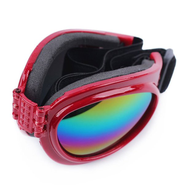 Gafas de sol con protección UV para perros