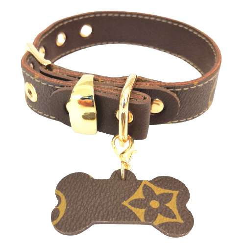 Conjunto de correa y collar Louis Pawtton
