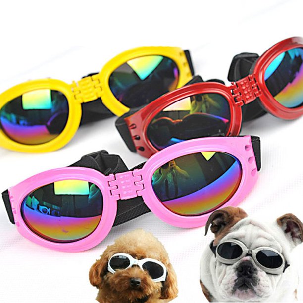Gafas de sol con protección UV para perros