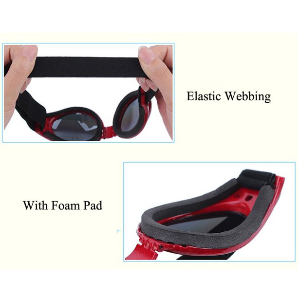 Gafas de sol con protección UV para perros
